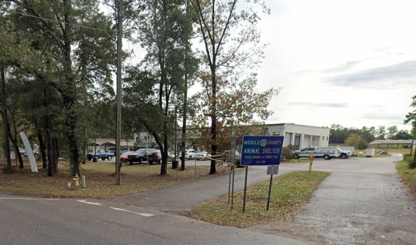 Mobile County Animal Shelter