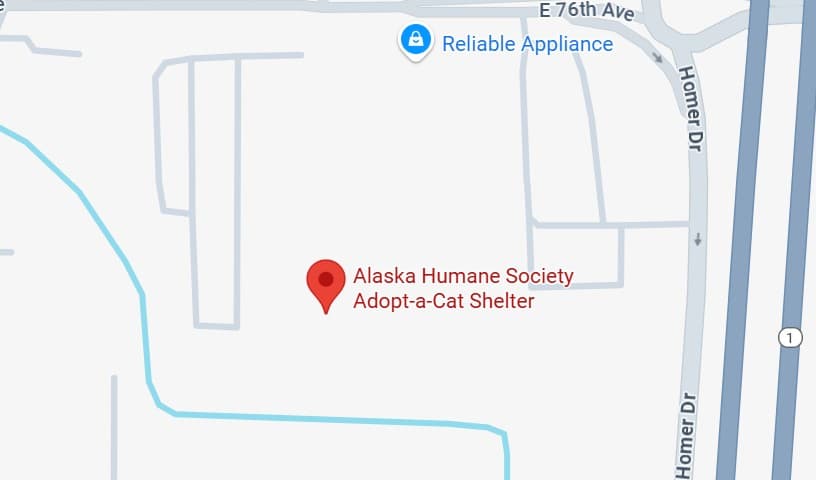 Alaska Humane Society Adopt-a-Cat Shelter