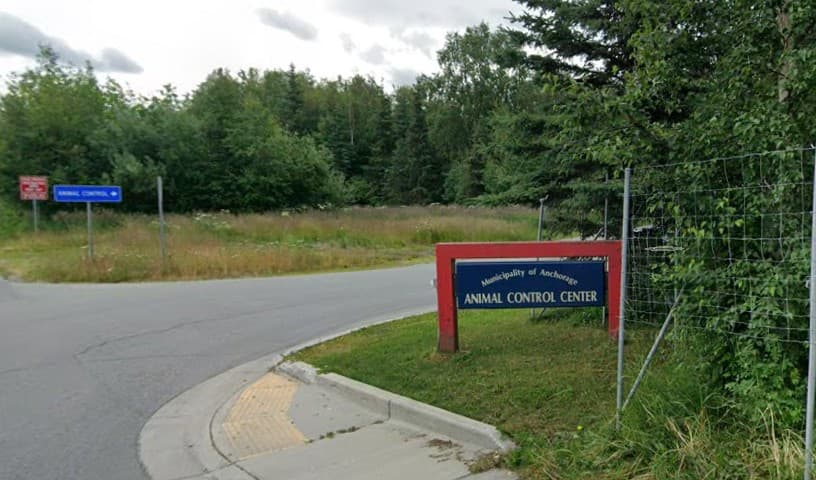 Anchorage Animal Care & Control