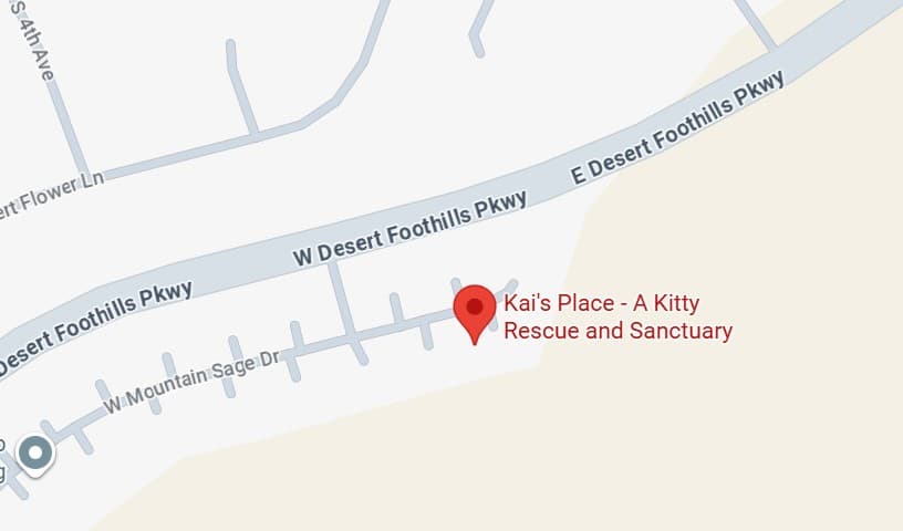 Kai's Place - A Kitty Rescue and Sanctuary