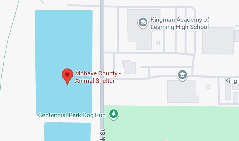 Mohave County Animal Shelter