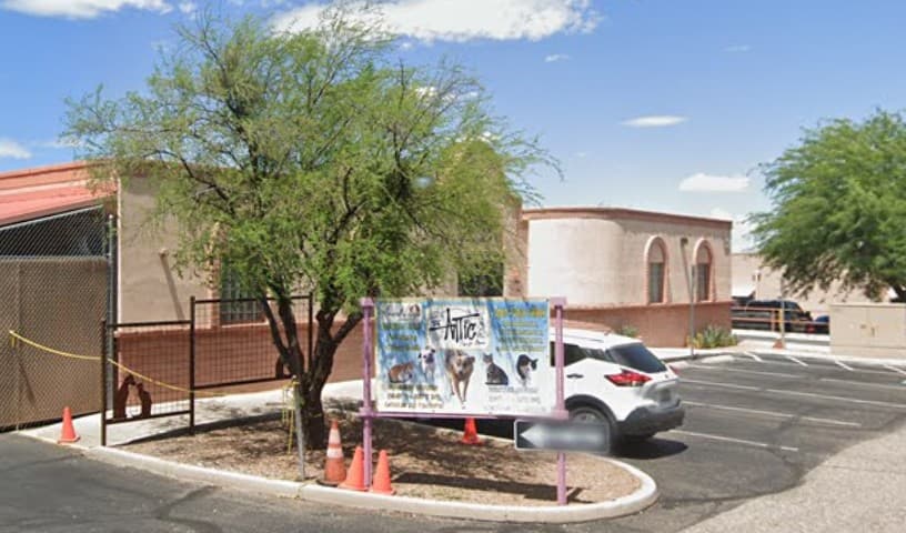 Animal League of Green Valley