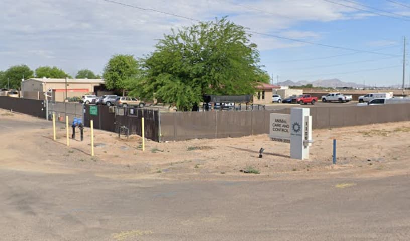 Pinal County Animal Control