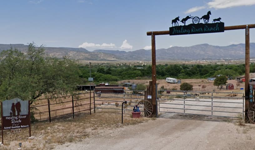Animal Guardian Network