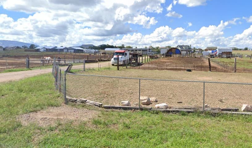 Equine Rescue