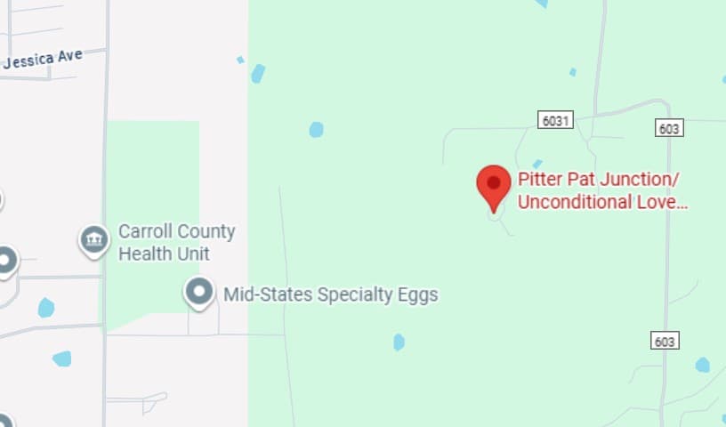 Pitter Pat Junction/Unconditional Love Pet Rescue