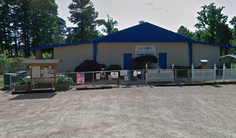 Ccaps Animal Shelter
