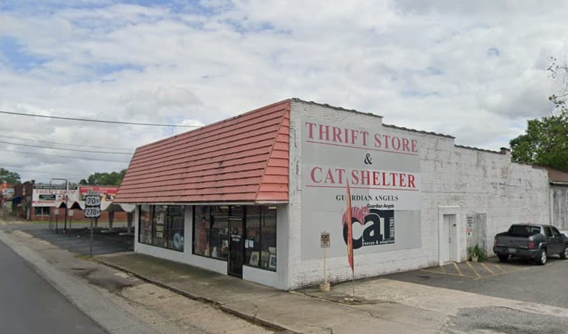 Guardian Angels Cat Club