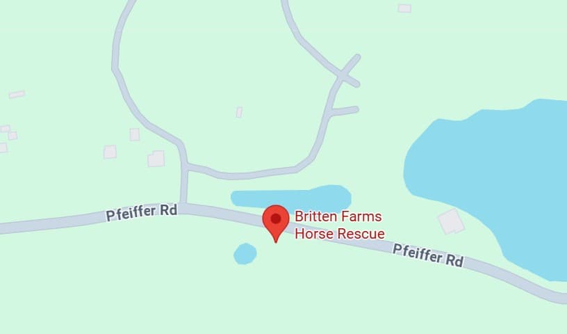 Britten Farms Horse Rescue