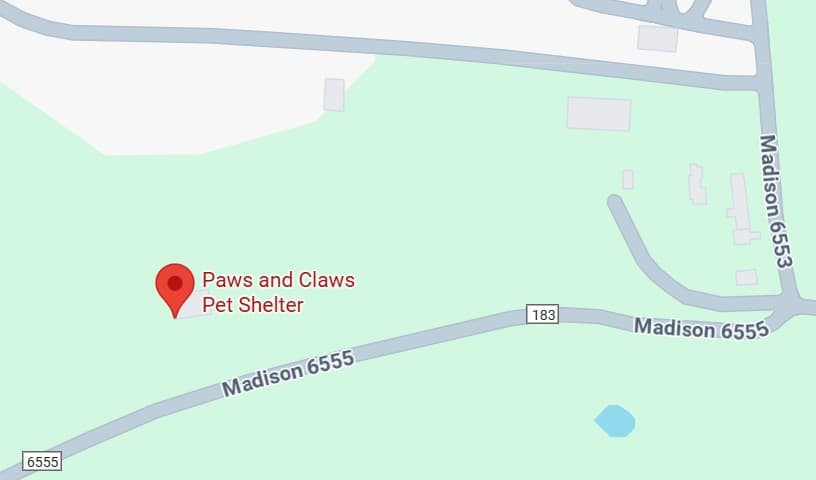 Paws and Claws Pet Shelter