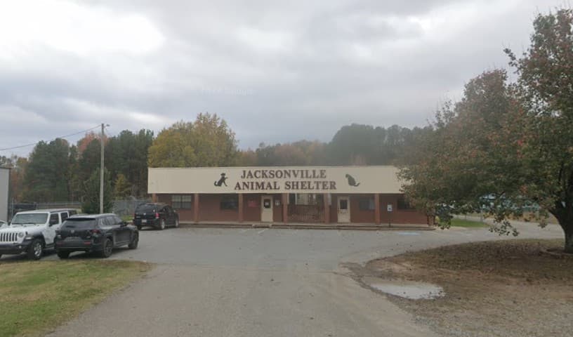Jacksonville Animal Shelter