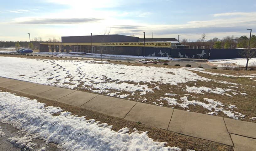 City Of Springdale, Animal Services