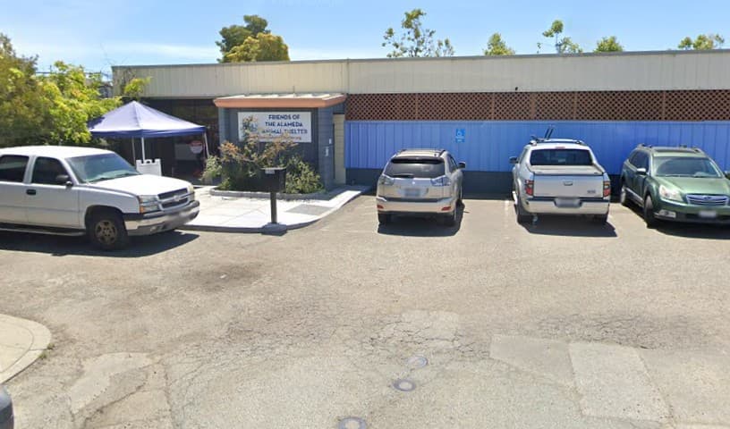 Friends of The Alameda Animal Shelter
