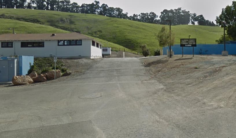 Alameda County Animal Control
