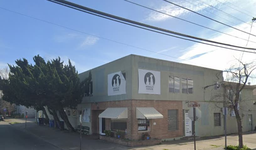 Berkeley East Bay Humane Society (Berkeley Humane)