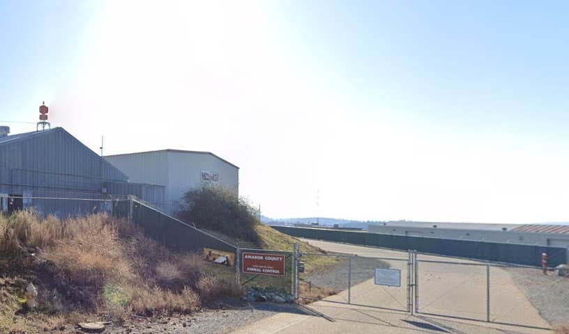 Amador County Animal Control