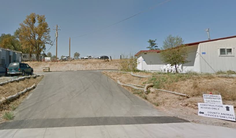 Calaveras County Animal Services