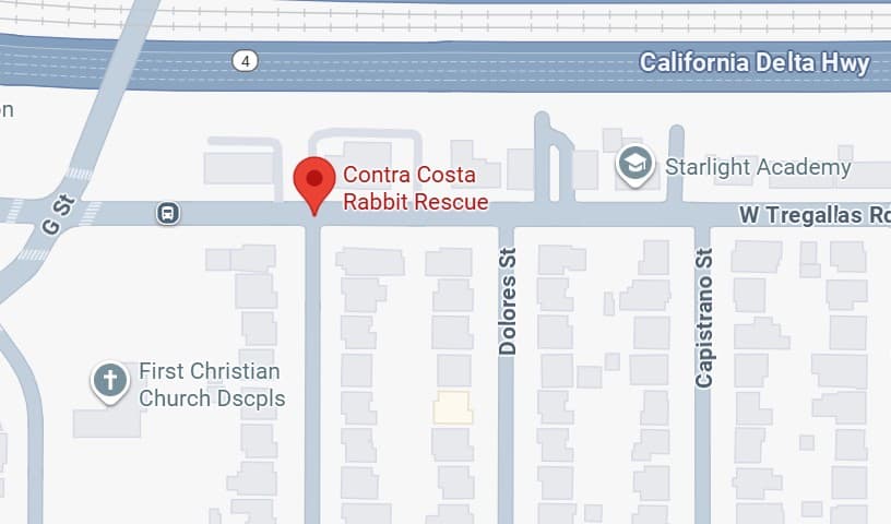 Contra Costa Rabbit Rescue