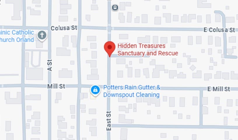 Hidden Treasures Sanctuary and Rescue