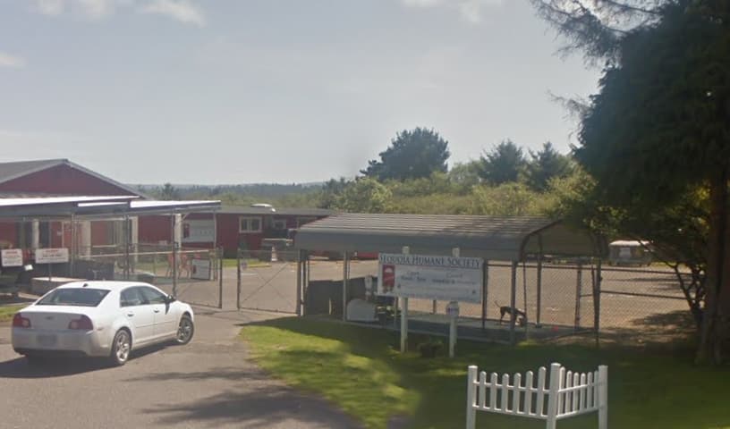 Sequoia Humane Society