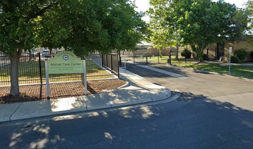 Bakersfield Animal Control