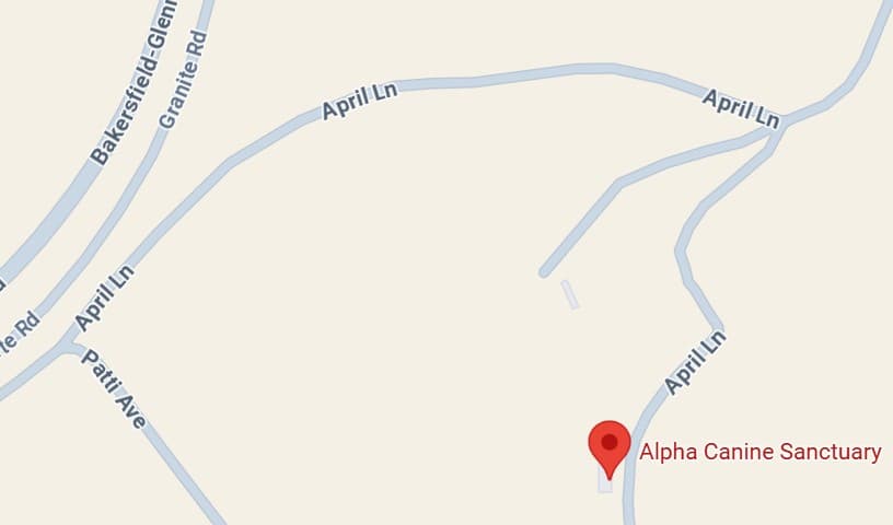 Alpha Canine Sanctuary