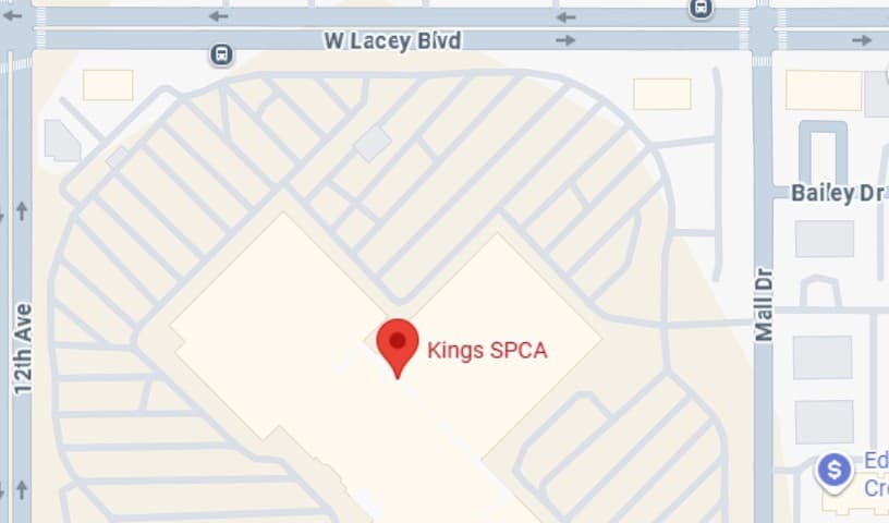 Kings SPCA