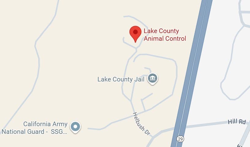 Lake County Animal Control