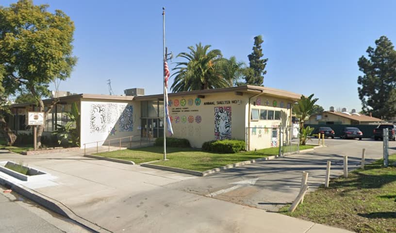 County of Los Angeles Department of Animal Care and Control
