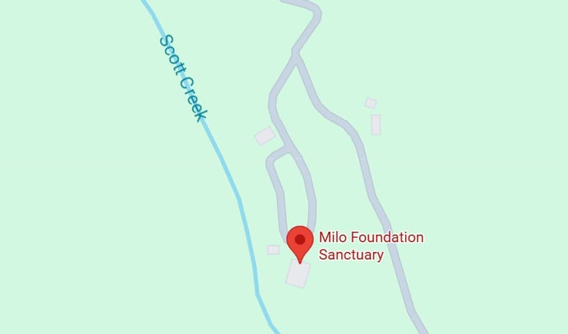 Milo Foundation