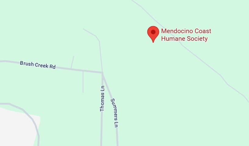 Mendocino Coast Humane Society