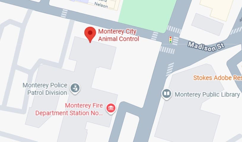Monterey City Animal Control