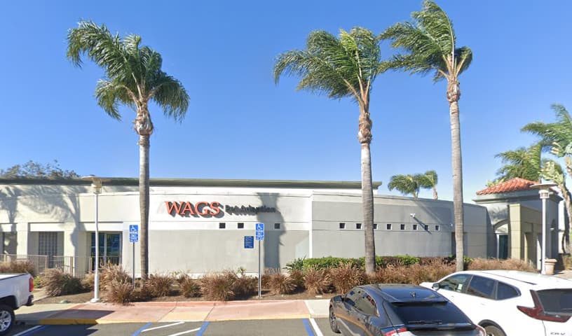 WAGS Pet Adoption