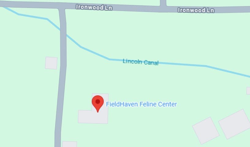 FieldHaven Feline Center