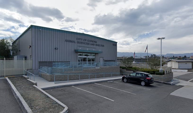 Corona Animal Shelter
