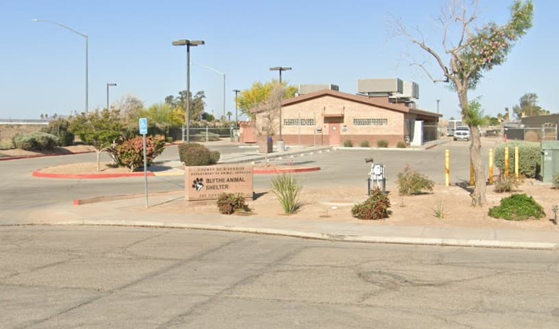 Riverside County Animal Control