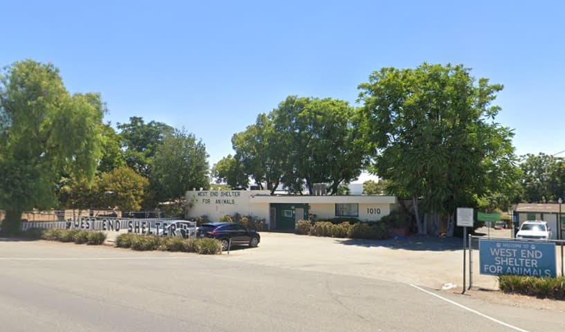 West End Shelter for Animals