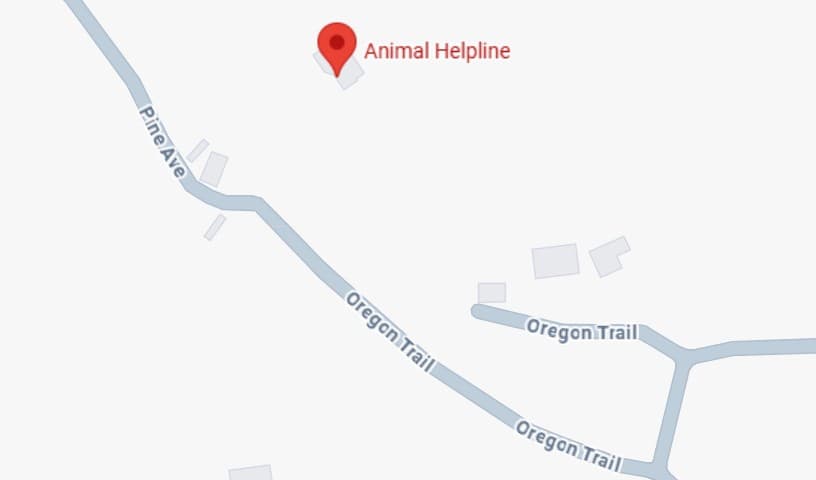 Animal Helpline