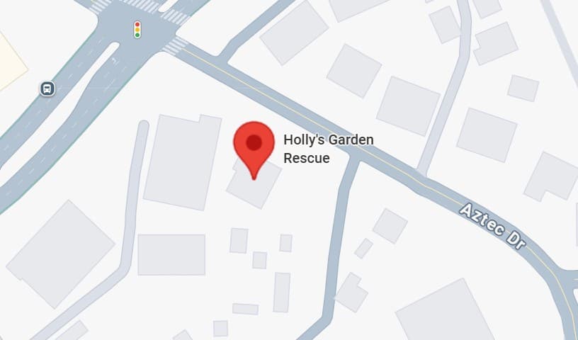 Holly's Garden Rescue