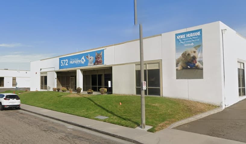 San Diego Humane Society's Oceanside Campus (Cats, Small Pets)