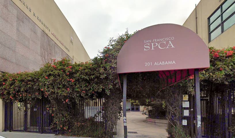 San Francisco SPCA