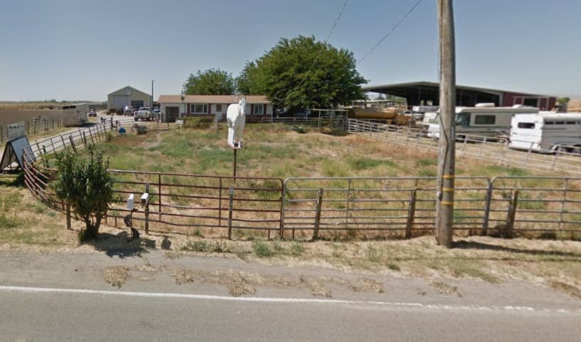 Animal Rescue of Lathrop HORSE'S