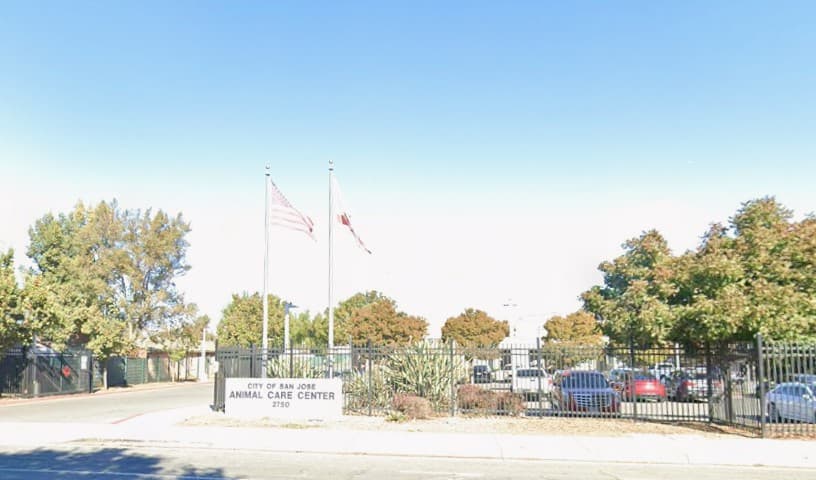San José Animal Care Center