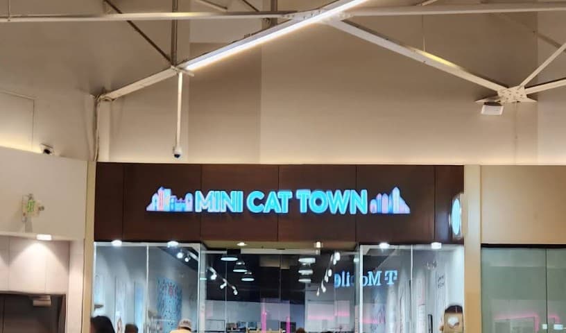 Mini Cat Town