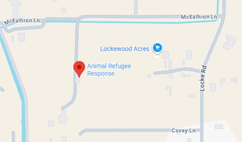 Animal Refugee Response