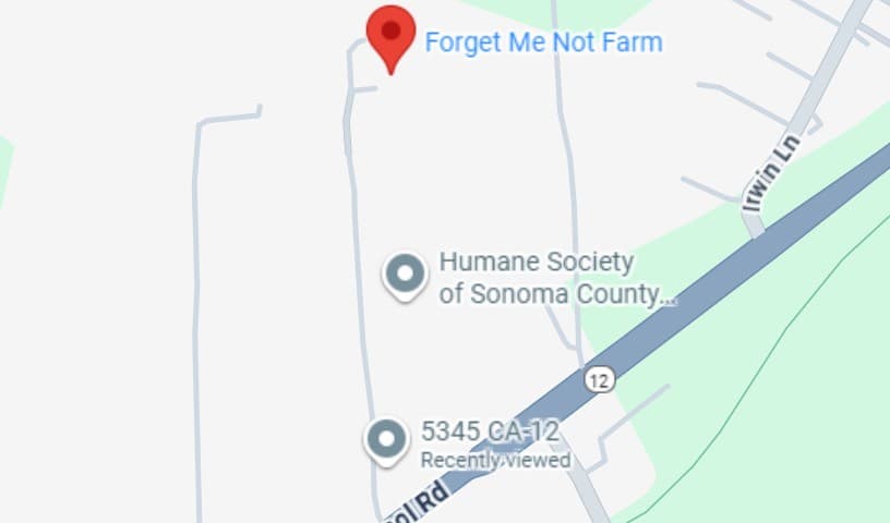 Forget Me Not Farm