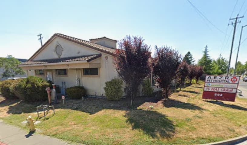A.E.Z.R. Cat Adoption Lounge