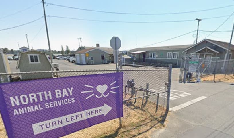 North Bay Animal Services of Petaluma