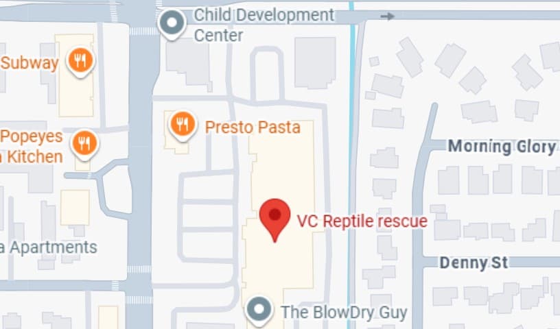 VC Reptile rescue