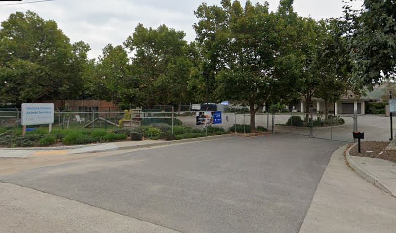 Simi Valley Animal Shelter (VCAS)